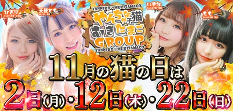 猫の日11月1050-502