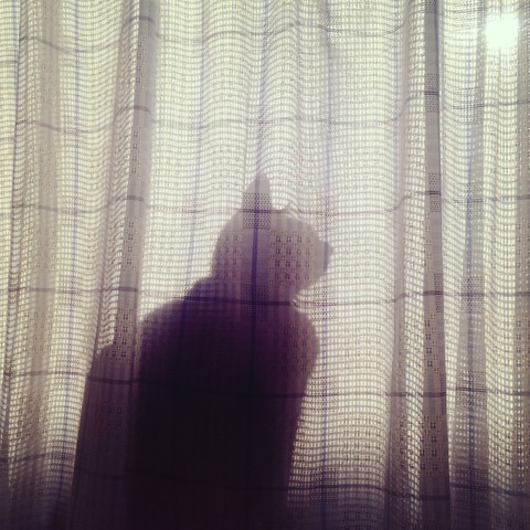 4E1B1625-75E9-4A5B-B19D-54D647EFEFF4