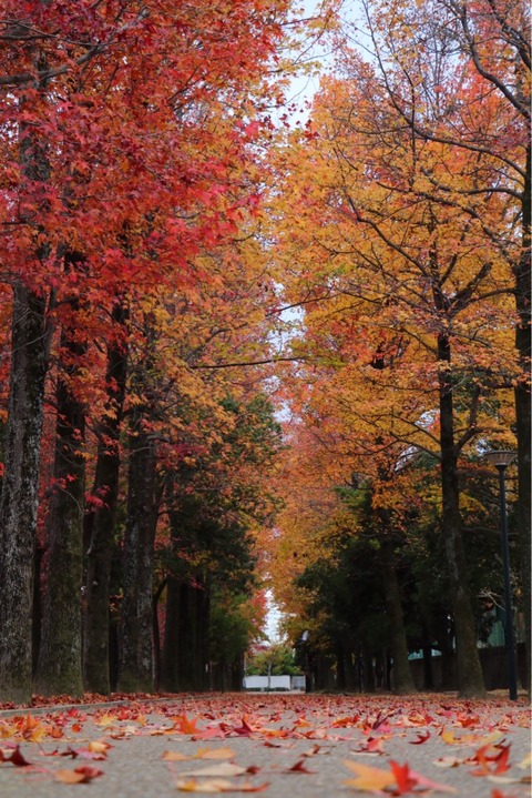 1B8AEAC6-A7A8-4236-9CCC-32DF96576722