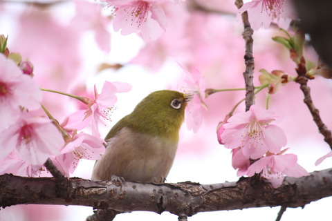 6DB013B5-8D7A-44D1-BBFF-CD842F1A1926