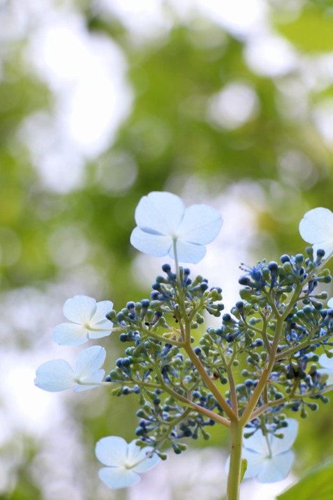 0D12F724-5EEF-4C0C-A5BA-BB88981378DA