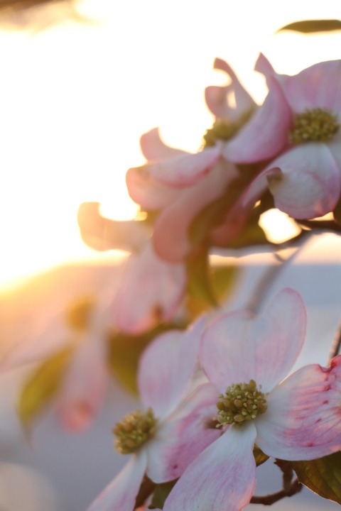 8349E18C-AAB5-482D-B412-F795A7B3ECAC