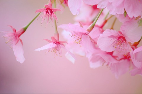 119DCC1D-E941-43DF-A68E-E4EFF6B1553A