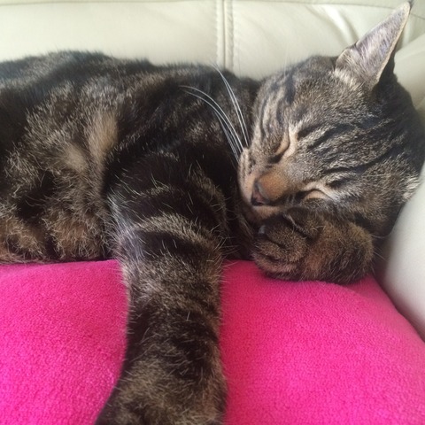 4F562A78-194A-4EC3-A40F-843B53961B70