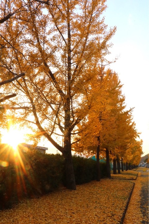 C9DCBE16-D271-4C8A-8A67-2B0869F877D1