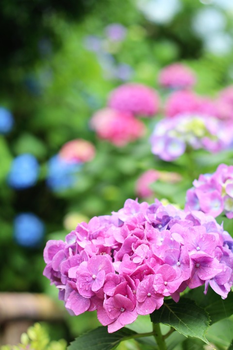 D28DFD57-6A16-41CB-A013-83ED07907209