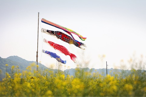 AF95D52E-DF15-48FF-B443-A56350855F17