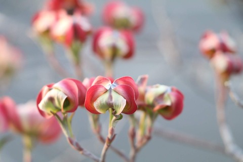 974747E1-4810-46E5-8D32-2E3BF69592B4