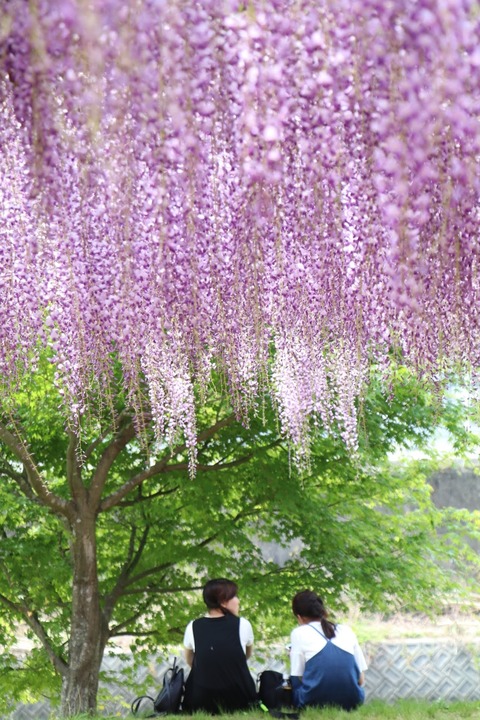 A3B18F08-0F6E-4B3F-A3EF-EB4DB74F8689