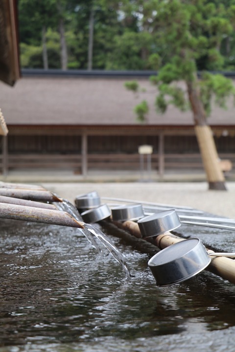 D565B148-CBEC-4ACE-ABCD-1375676F949F