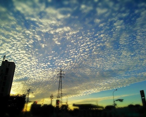 7938E2A5-FD3C-4682-AE40-855ECCD4C3AF