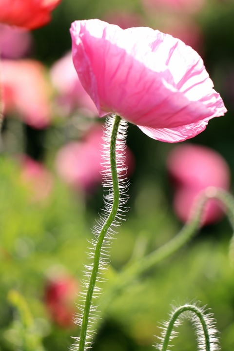 FA6D8997-2AD7-4A5F-87A5-1A45EA9D9C85