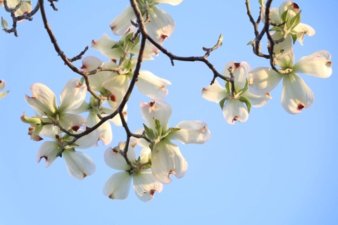 941C6C65-4CEB-4681-8294-1726404866E6