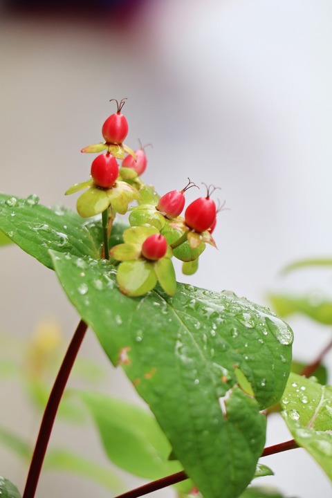 BEE2D1F3-E617-48FB-BE7F-20EB9F9D61FE