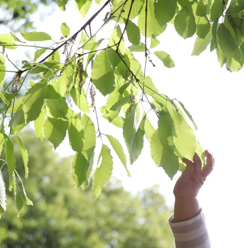 65B81EEB-0C44-477A-B159-8F17BA99D77E