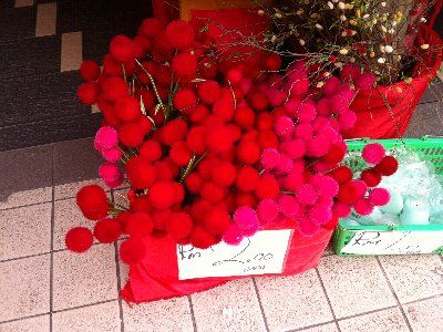 画像 2682