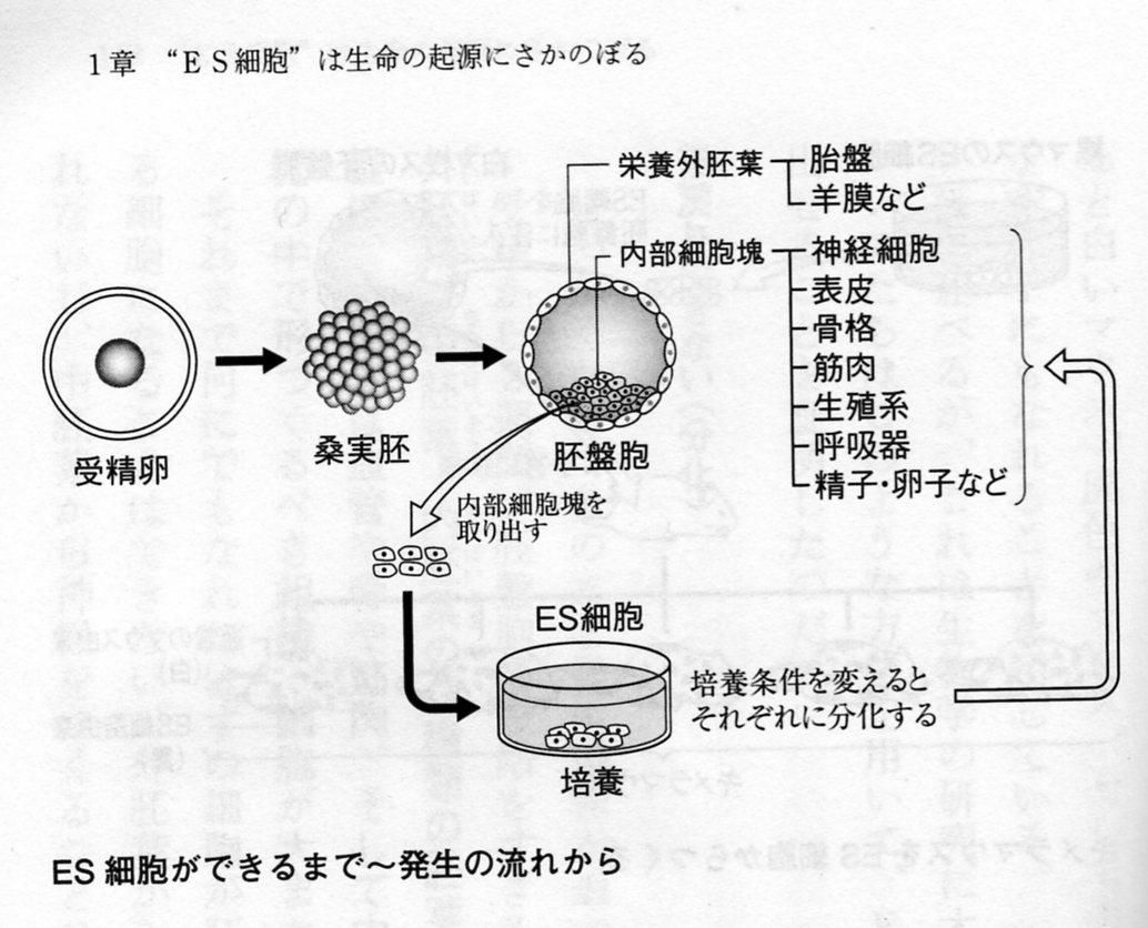あらすじ検索サイト あたまにスッと入るあらすじ 祝ノーベル賞受賞 山中 益川教授の知性のジャムセッション 大発見 の思考法 再掲 あらすじ検索サイト あたまにスッと入るあらすじ 祝ノーベル賞受賞 山中 益川教授の知性のジャムセッション 大発見 の思考法 再掲