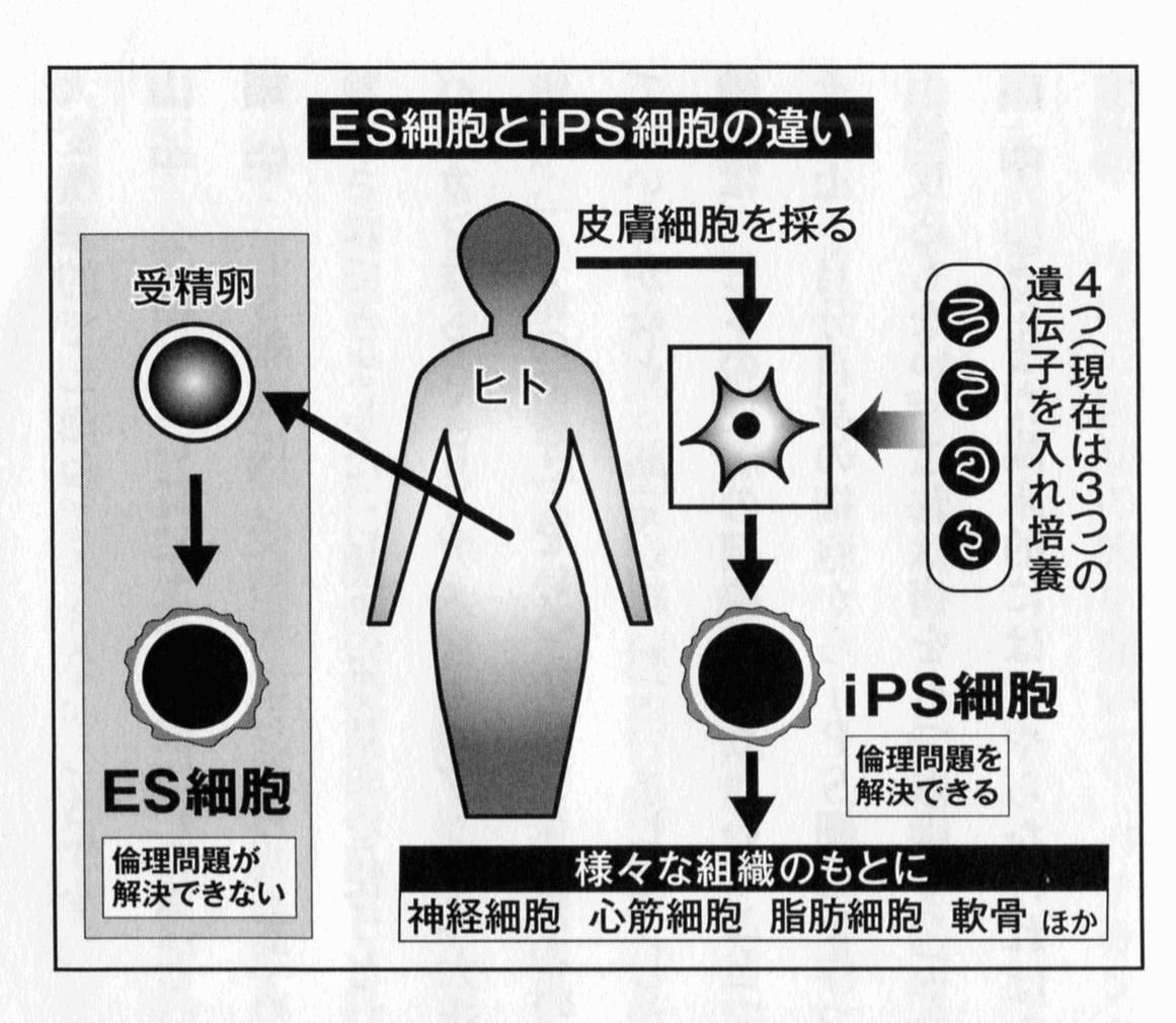 あらすじ検索サイト あたまにスッと入るあらすじ 祝ノーベル賞受賞 山中 益川教授の知性のジャムセッション 大発見 の思考法 再掲 あらすじ検索サイト あたまにスッと入るあらすじ 祝ノーベル賞受賞 山中 益川教授の知性のジャムセッション 大発見 の思考法 再掲