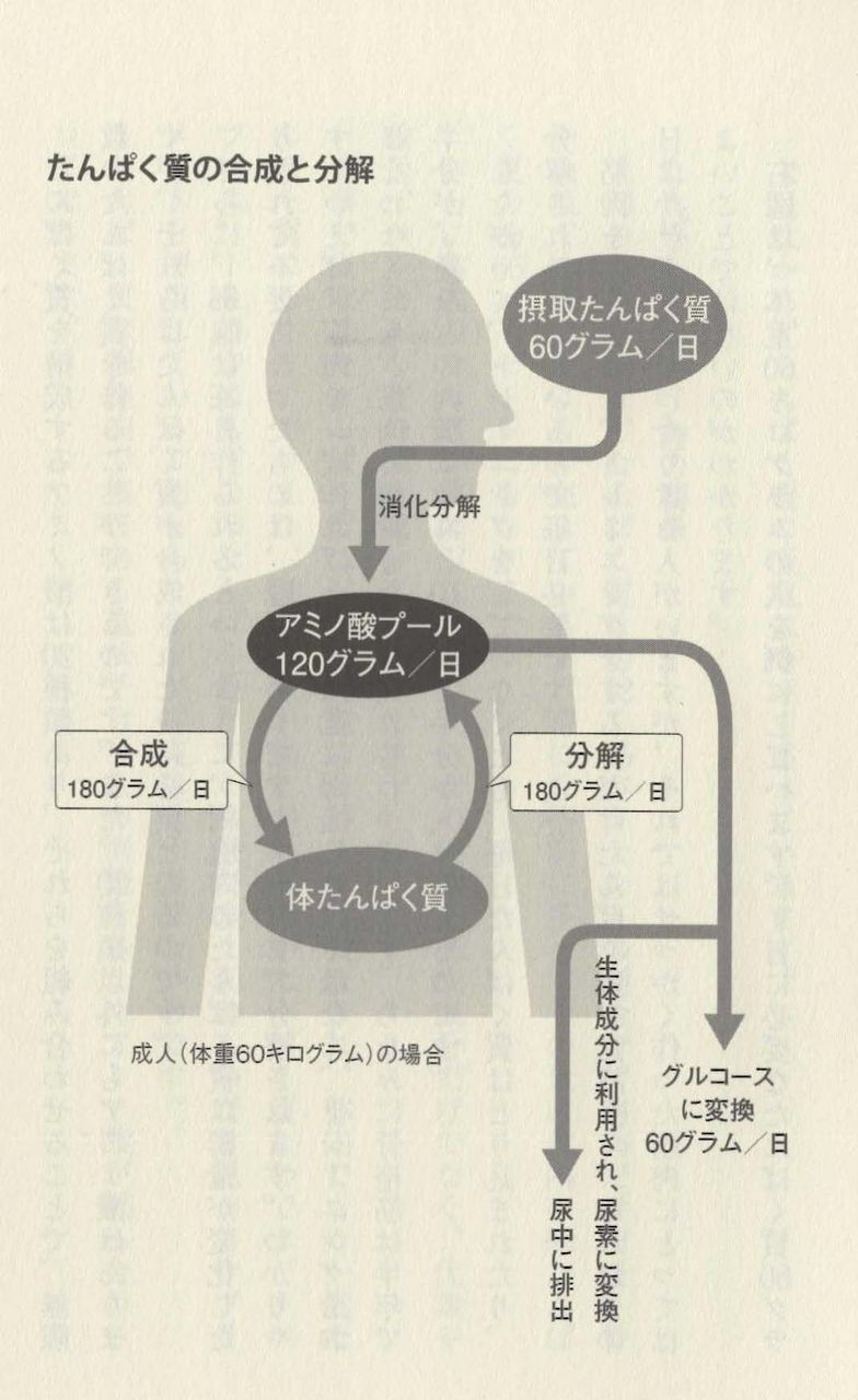 あらすじ検索サイト あたまにスッと入るあらすじ あらすじ検索サイト あたまにスッと入るあらすじ