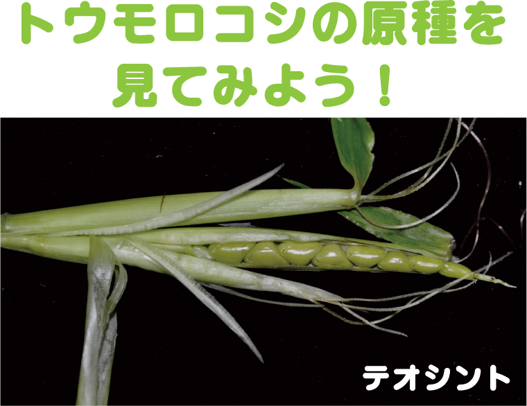 あらすじ検索サイト あたまにスッと入るあらすじ あらすじ検索サイト あたまにスッと入るあらすじ