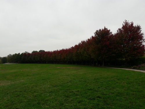 20201019_130834