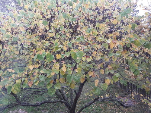 20171023_081747