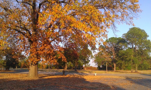 IMAG0284