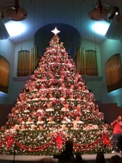 Living Christmas Tree