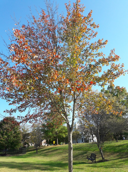 20161024_151304