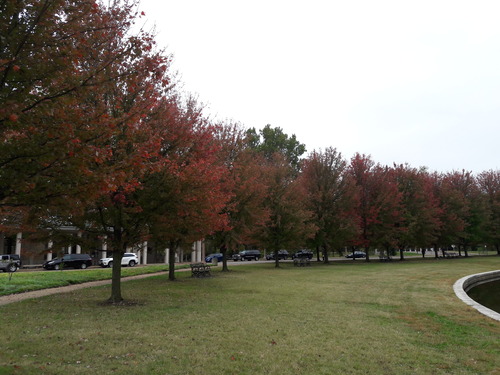20201019_131639