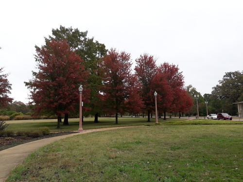 20201019_131612