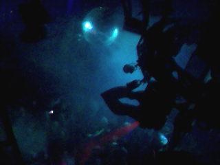 e8b7196d.jpg