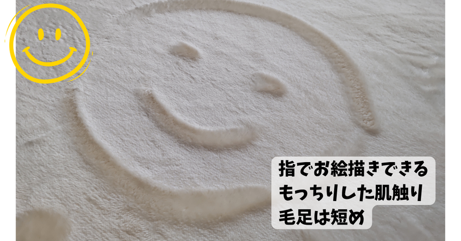 コストコで売り切れ続出！西川のフランネルラグの値段は？触り