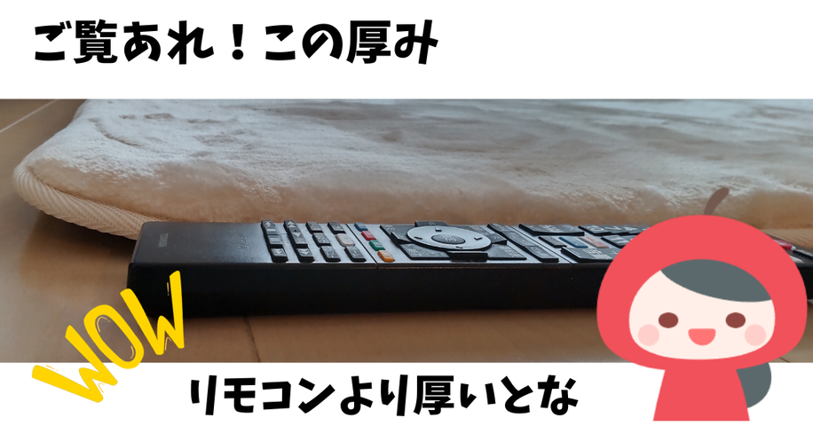 コストコで売り切れ続出!西川のフランネルラグの値段は?触り コストコで売り切れ続出!西川のフランネルラグの値段は?触り