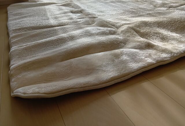 コストコで買った「昭和西川フランネルラグ」、2シーズン目突入 コストコで買った「昭和西川フランネルラグ」、2シーズン目突入