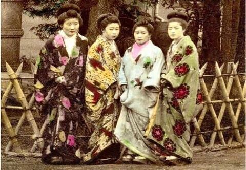 新作モデル 吉原遊郭 おいらん 花魁遊女の変身やコスプレにまげ部分日本髪成人式和楽器バンド コスプレ Www Cecop Gob Mx