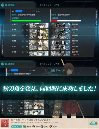 ねこさんなのです