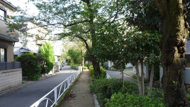 �Ѵ�P1040886