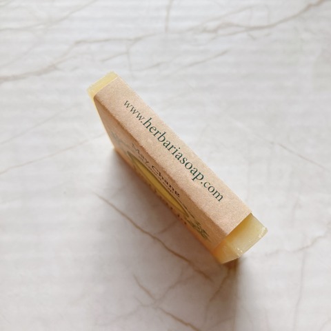 1C1FD5C9-3E3A-4D14-89B0-3F6E73133E2F