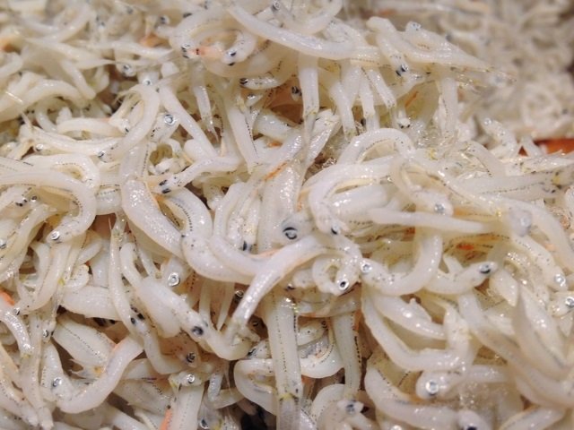 和歌山のしらす屋さん やりたい事が多すぎる