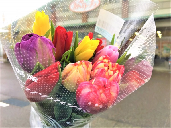 富山の春と言えばこの花でしょう 田所大介の富山なんでも食遊記 富山の春と言えばこの花でしょう 田所大介の富山なんでも食遊記