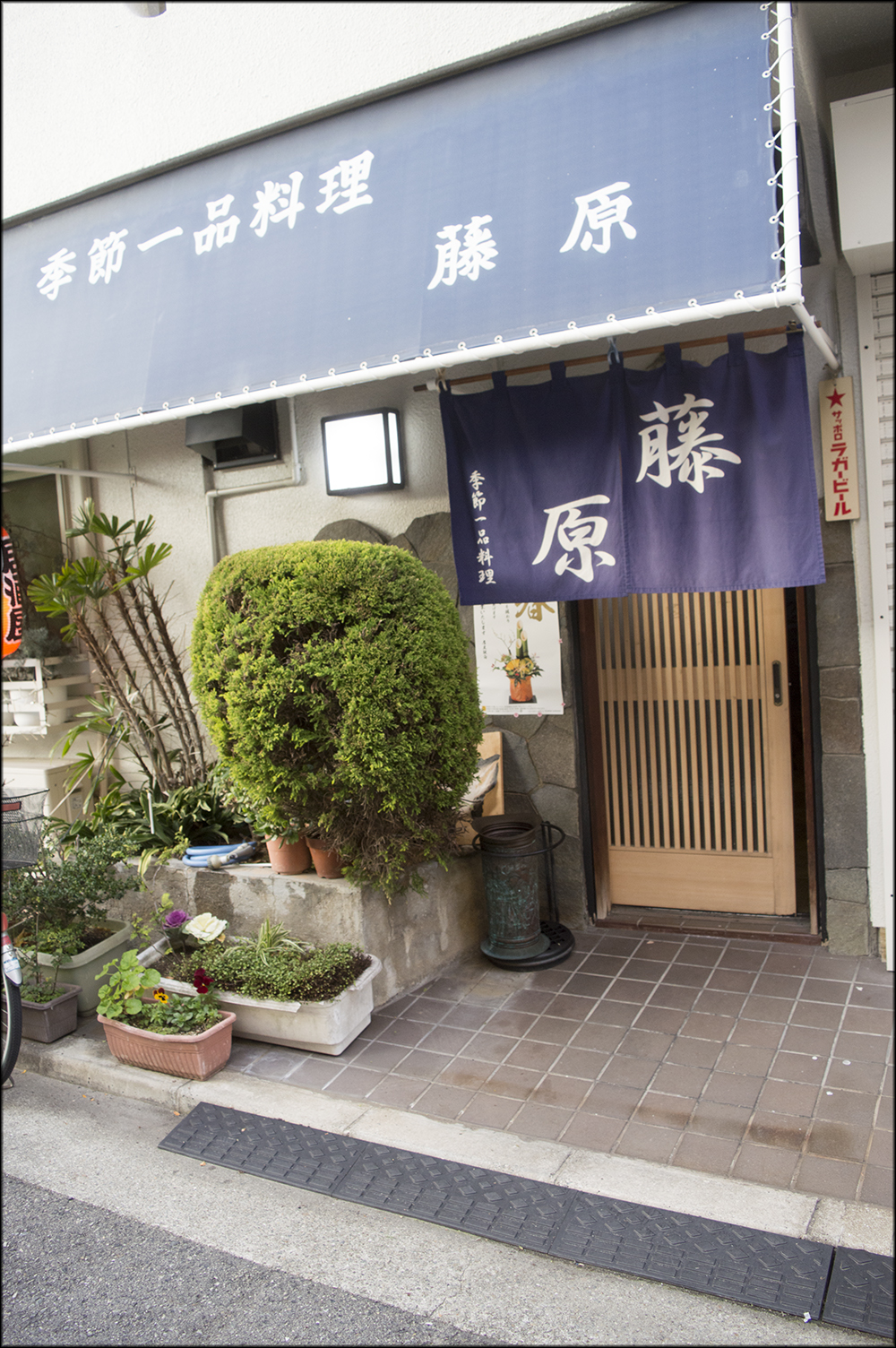 藤原 二宮 鳥頭blog2 藤原 二宮 鳥頭blog2