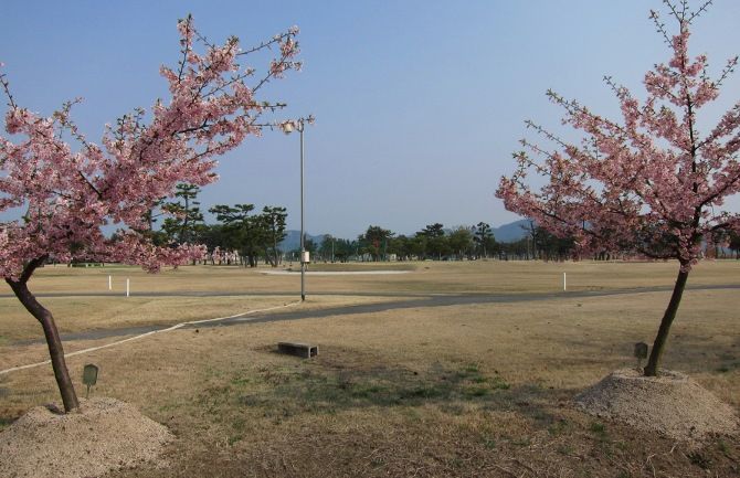 花回廊ゴルフコース やすしのフォト日記 花回廊ゴルフコース やすしのフォト日記