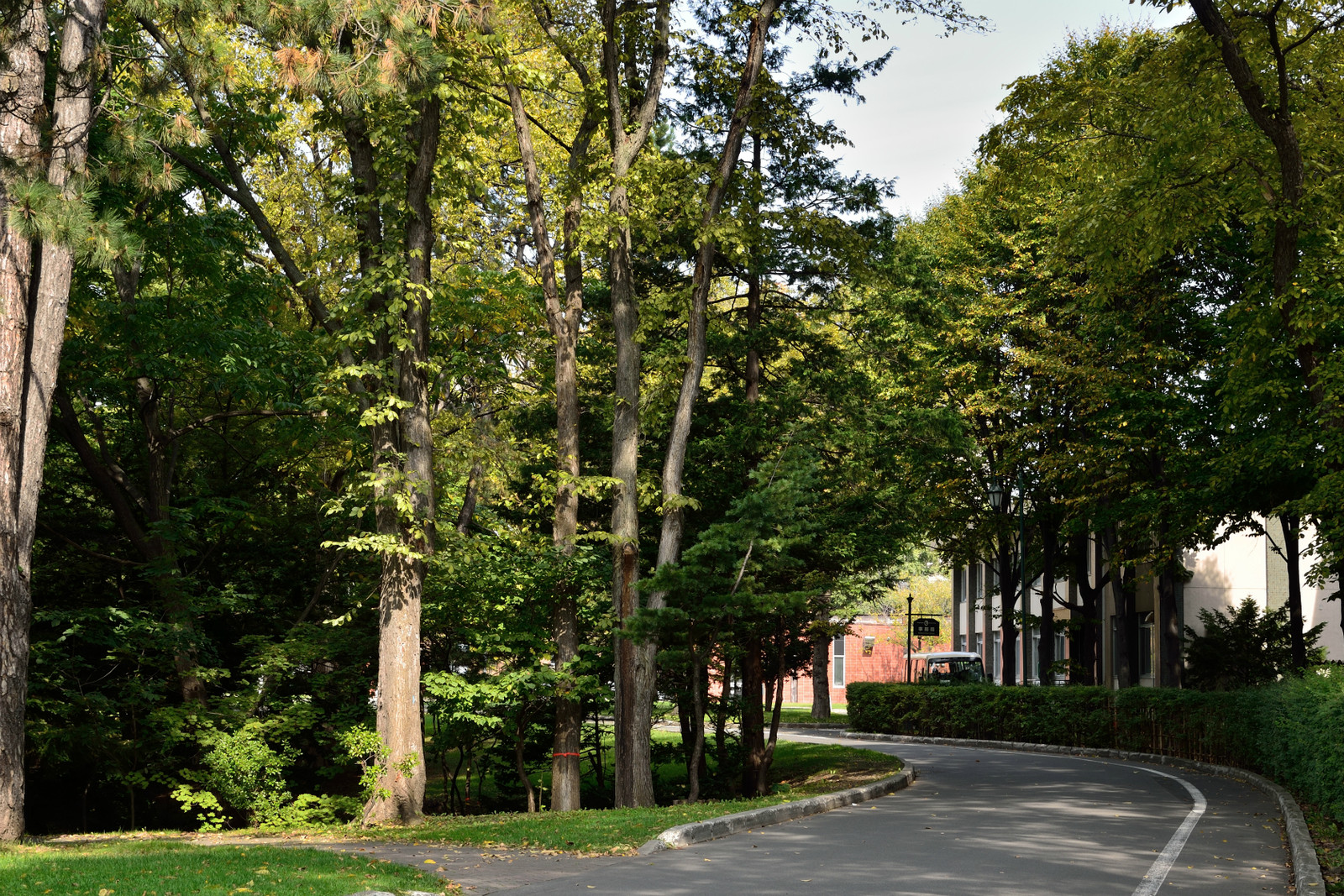 北海道東海大学