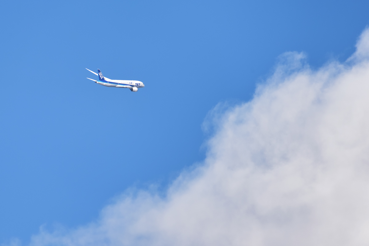 Yasの写真保存庫2017年1月24日 高松空港 高山航空公園に登るコメント