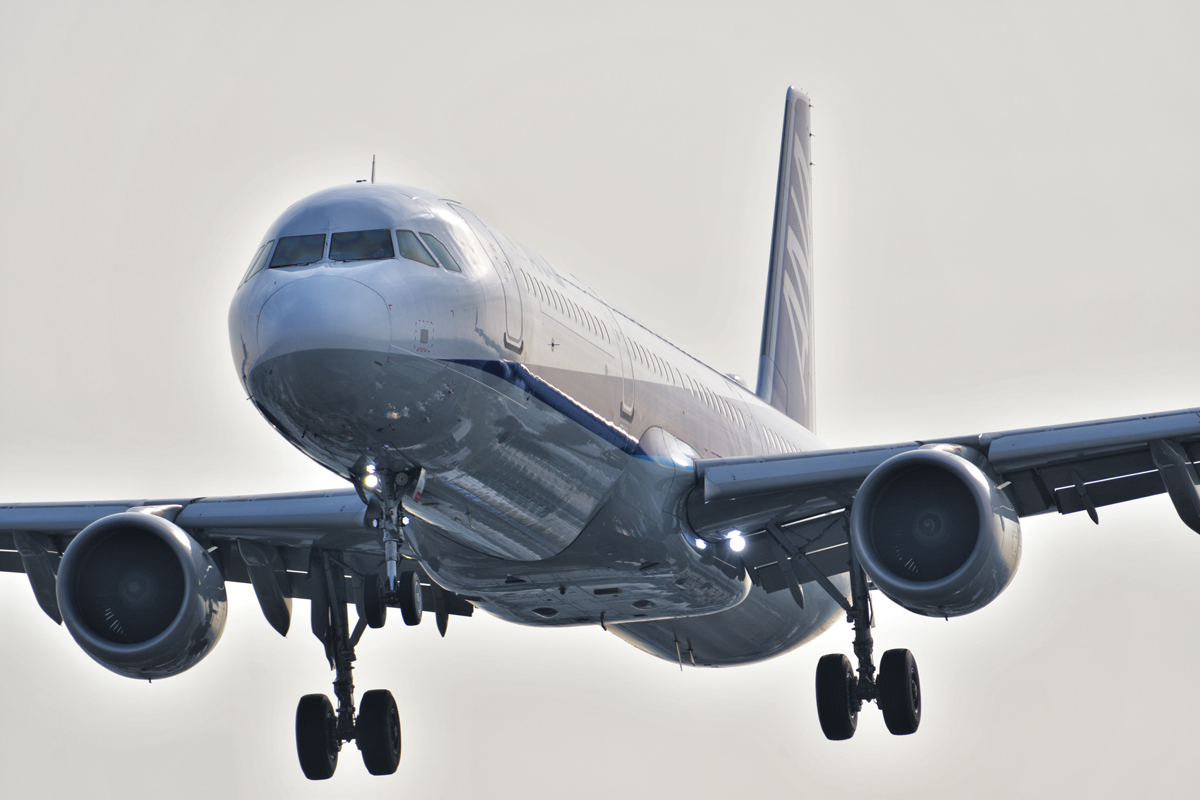 19年1月8日 伊丹空港 ディズニーの飛行機 Yasの写真保存庫