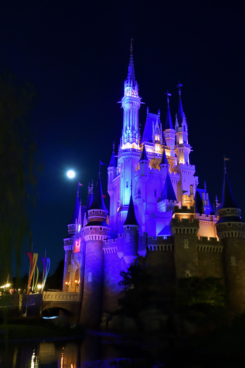 18年1月1日 元旦の東京ディズニーランド エレクトリカルパレード ドリームライツ Yasの写真保存庫