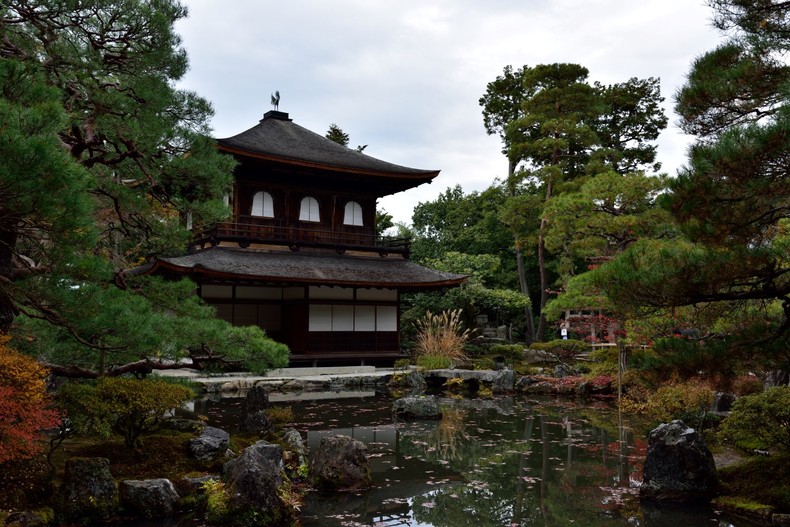 2014年11月28日 京都の紅葉 銀閣寺 Yasの写真保存庫