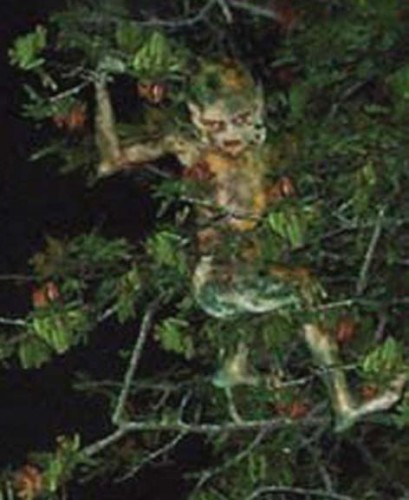 �ڥ롼�ǥ��֥�󤬻��Ƥ����2