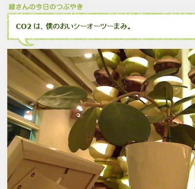 �����顡��ʪ���񤤤Ƥ�֥����ֺ������Ф����